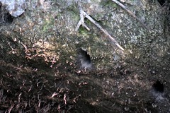 Killikus&reg; Fotographie